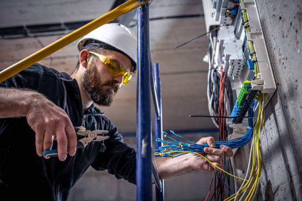 Best Electric Panel Repair  in Prophetstown, IL